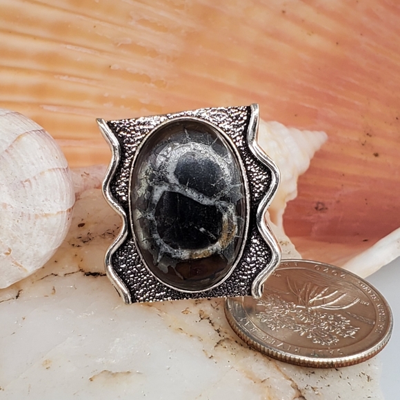Natural Picasso Fossil Jasper Silver Ring - Picture 2 of 6